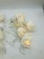 Preview: fairy lights