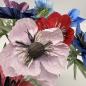 Preview: Anemone - in vielen Farben