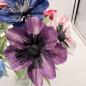 Preview: Anemone - in vielen Farben