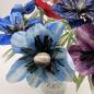 Preview: Anemone - in vielen Farben