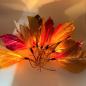 Preview: Lichterkette Herbstlaub