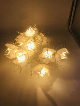 fairy lights