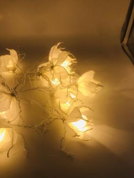 fairy lights