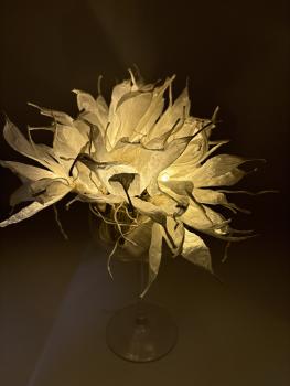 fairy lights