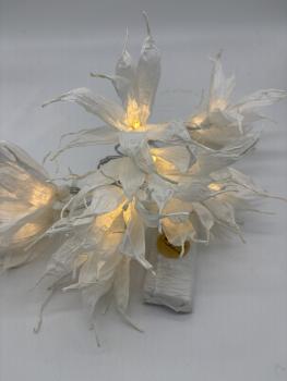 fairy lights