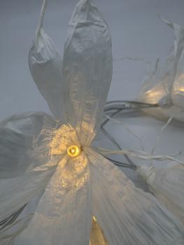 fairy lights
