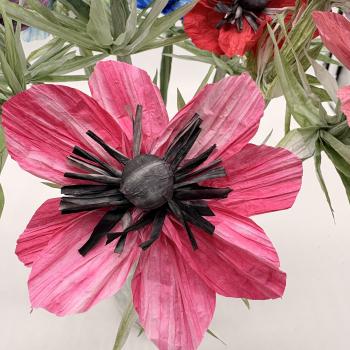 Preview: Anemone - in vielen Farben