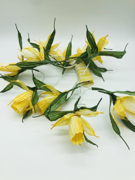fairy lights daffodil