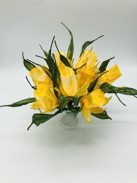 fairy lights daffodil