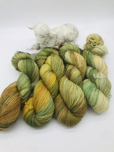Sockenwolle Merino hightwist handgefärbt