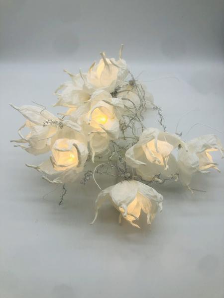 fairy lights