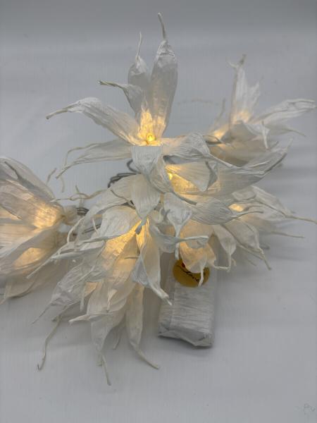 fairy lights