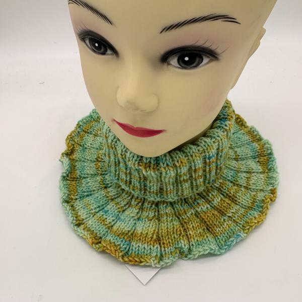 Kragenschal, Rollkragen