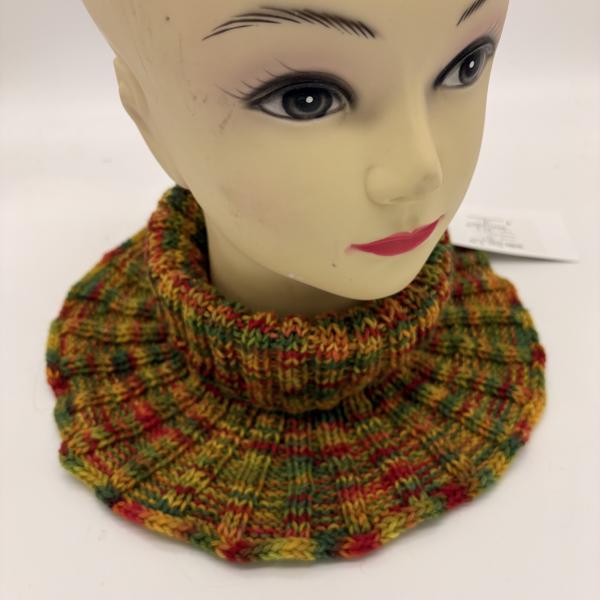 Kragenschal, Rollkragen