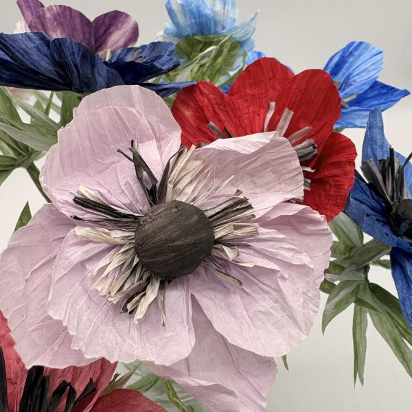 Anemone - in vielen Farben