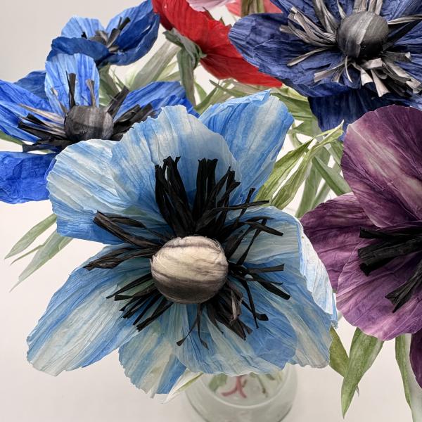 Anemone - in vielen Farben