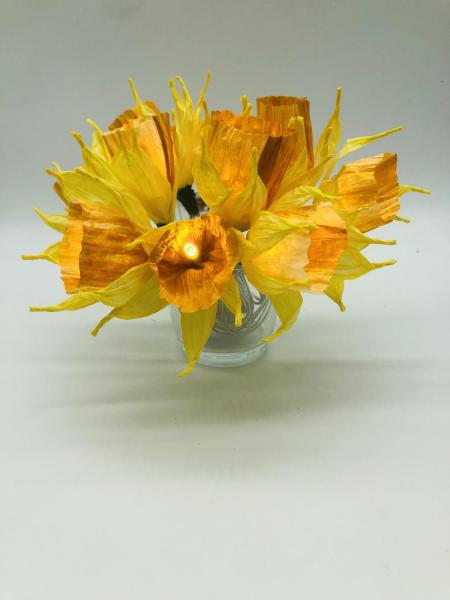 fairy lights daffodil
